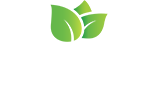 Taliah Waajid Brand Logo